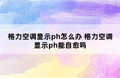 格力空调显示ph怎么办 格力空调显示ph能自愈吗